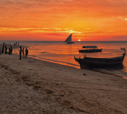 Internet in Zanzibar 2026/2027 – eSIM, Local SIM or Roaming? What Works Best on Holiday?