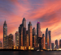 Internet w Zjednoczonych Emiratach Arabskich 2024 - XOXO WiFi