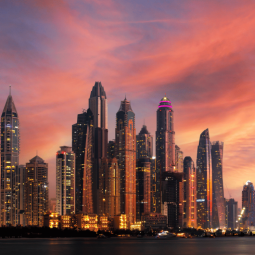 Internet w Zjednoczonych Emiratach Arabskich 2024 - XOXO WiFi