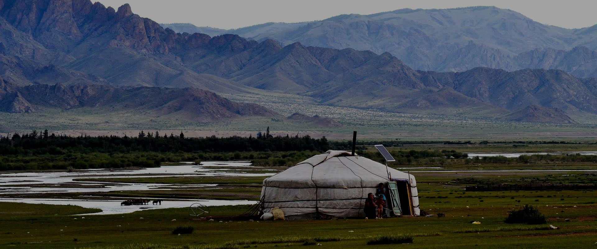 internet mobilny mongolia