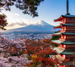 eSIM do Japonii – jak zamówić i aktywować kartę jeszcze przed wylotem? Kompletny poradnik krok po kroku